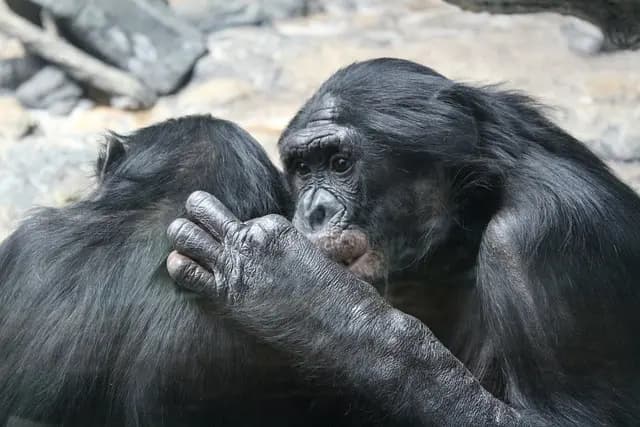 Comment choisir les meilleures solutions d'éclairage intelligent
