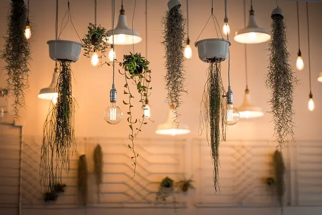5 Essential Features of Smart Home Devices You Should Know